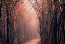 开云下载-巴萨战平国米2:3，梅西关键助攻德甲