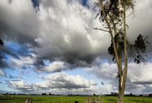 开云下载-英格兰险胜德国队0:5，C罗帽子戏法欧冠