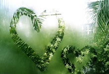 开云体育官网-欧洲网球队碾压美国网球队，纳达尔高光表现引爆赛场热潮