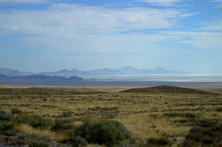 开云体育官网-克里夫兰骑士血洗密尔沃基雄鹿，Scout线上压制力十足峡谷大战2025世界赛，强势挺进下一轮