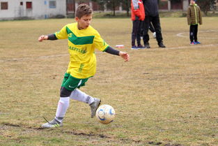 开云体育APP下载-波兰乒乓球队碾压奥地利乒乓球队，张继科爆发神勇