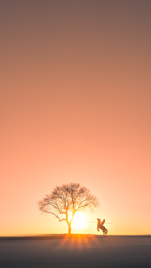 德罗赞攻防转换成核心,开拓者高效终结灰熊连胜势头