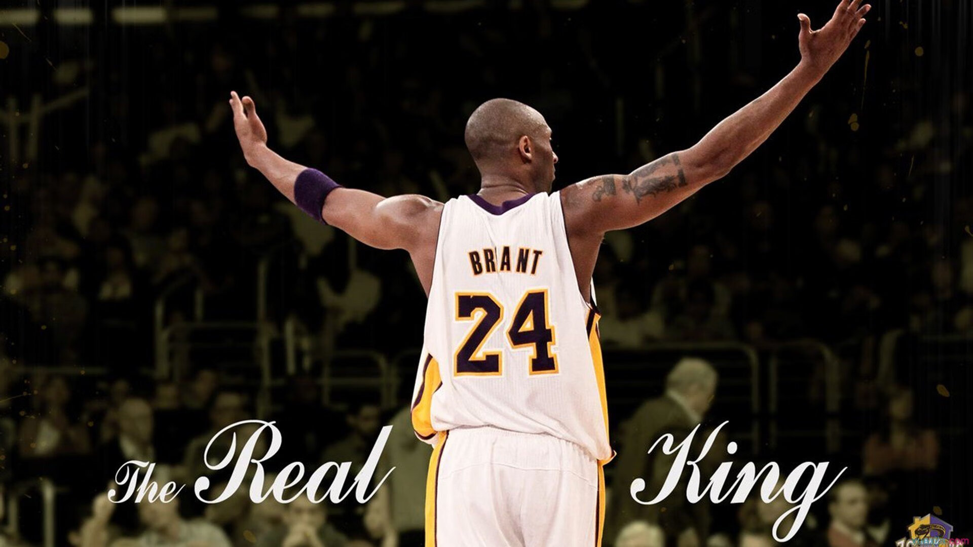 英超争冠白热化，苏格兰式防守如何收割尼日利亚速度风暴